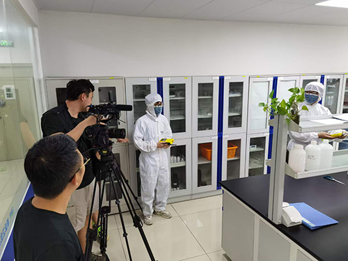 ?丙酸安全標(biāo)準(zhǔn)限值是多少